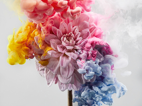 Sydney Still Life Photographer Vicki Lee Rhapsody series